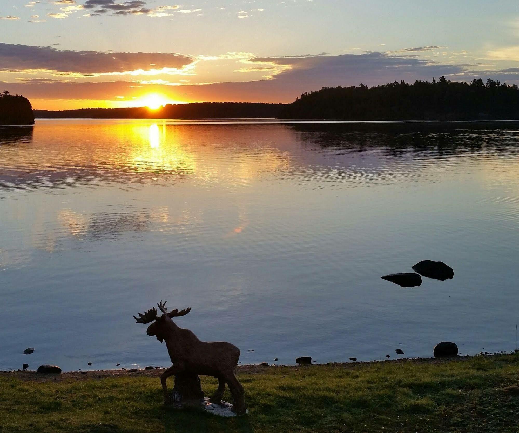 Pine Point Lodge Resort & Motel Crane Lake 외부 사진